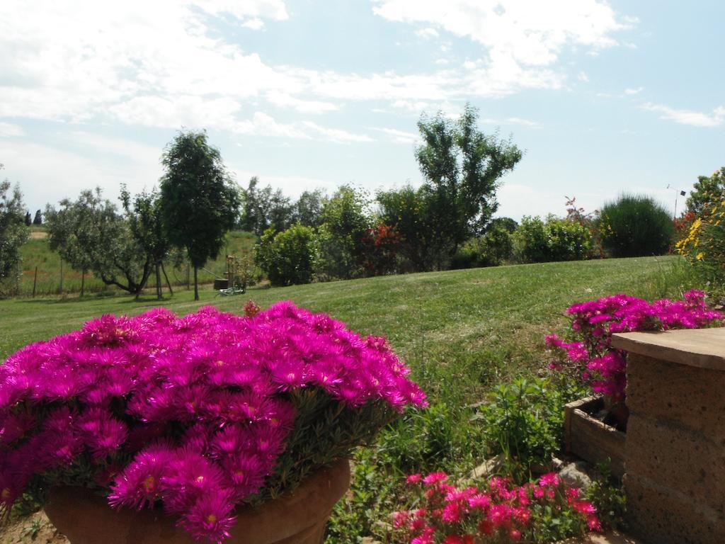 Locanda Degli Etruschi Montalto di Castro Ngoại thất bức ảnh
