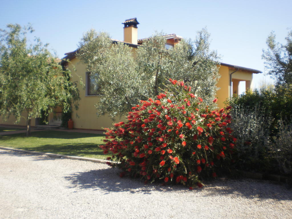 Locanda Degli Etruschi Montalto di Castro Ngoại thất bức ảnh