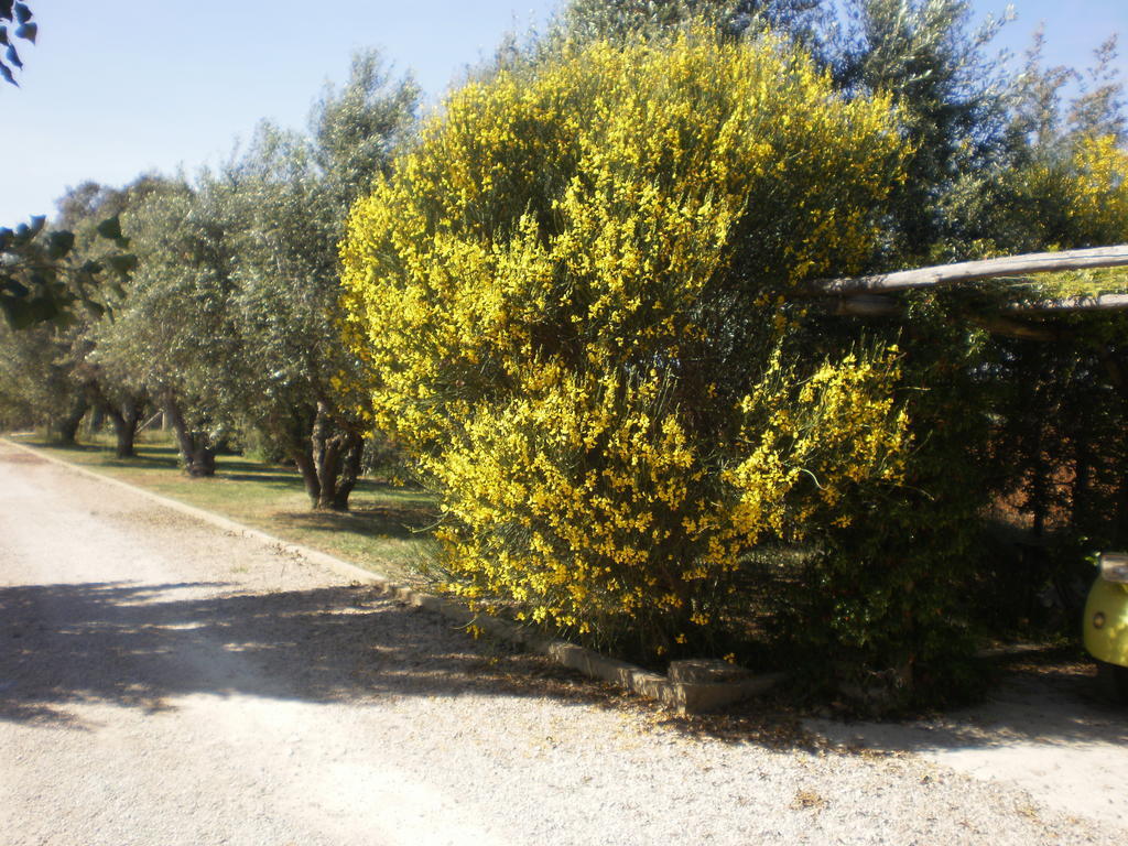 Locanda Degli Etruschi Montalto di Castro Ngoại thất bức ảnh